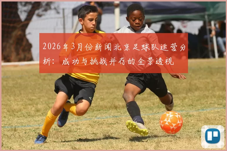 2026年3月份新闻北京足球队运营分析：成功与挑战并存的全景透视